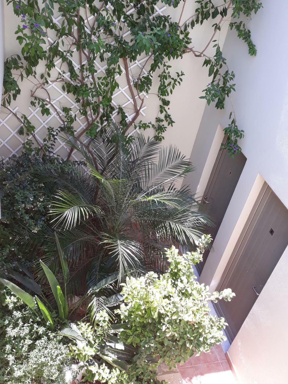 Vilana Studios Kalamos  エクステリア 写真